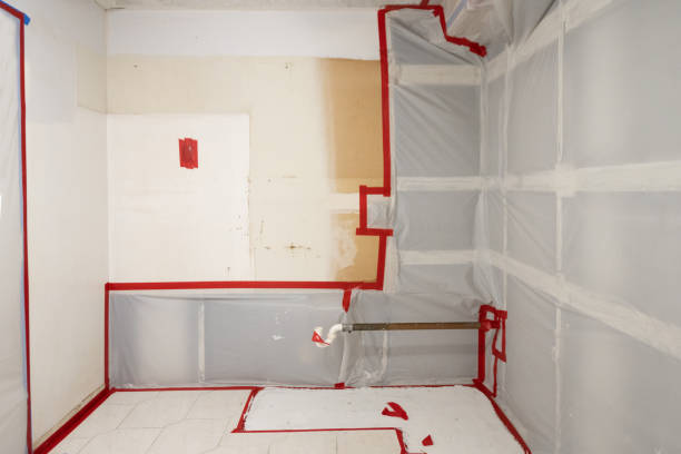 Best Commercial Mold Inspection  in Winfield, KS